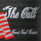 The Cult - Sweet Soul Sister (Live)