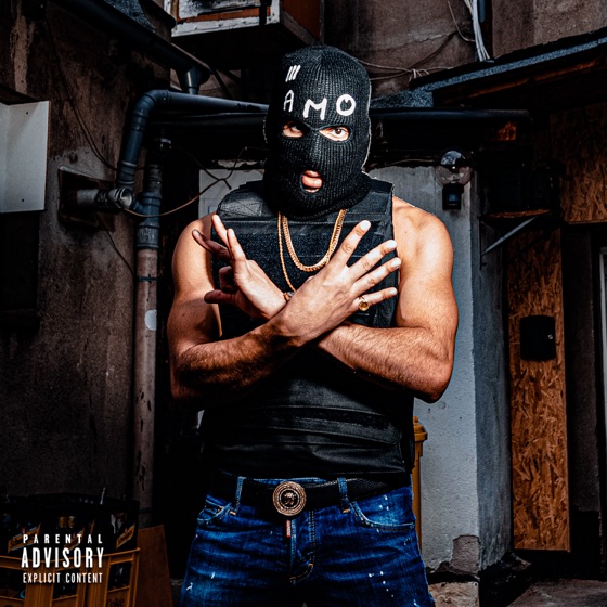 Cover artwork for Anonym