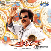 Chandramukhi (Original Motion Picture Soundtrack) - Vidyasagar