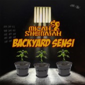 Backyard Sensi artwork