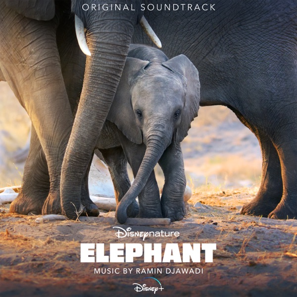 Elephant (Original Soundtrack) - Ramin Djawadi