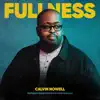 Fullness (feat. Evan Wickham & Kevin Olusola) - Single album lyrics, reviews, download