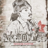 Freedom Fighter artwork