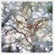 heard the breathing of deep woods. - Asuna & Opitope lyrics