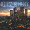 City Night Lounge Mix