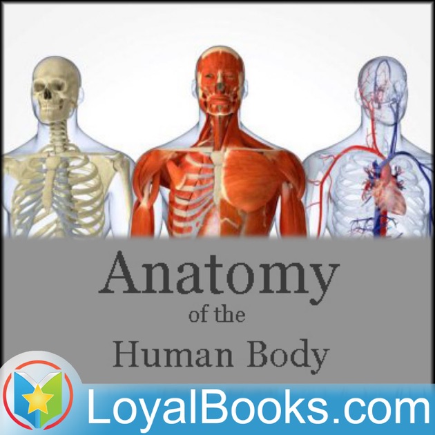 73  Anatomy Of Human Body Book Free Download for Learn
