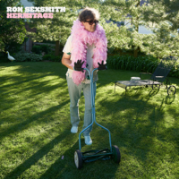 Ron Sexsmith - You Don't Wanna Hear It artwork