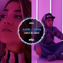 Jurei / Odin (Remix) [feat. Zinho Beats & Cynthia Luz] - Single - Fabio Brazza