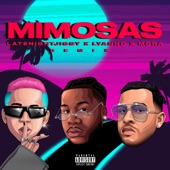 Mimosas (Remix) artwork
