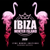 Ibiza Winter Island 2020: The House Edition artwork