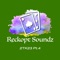 Replicant - Reckopt Soundz lyrics