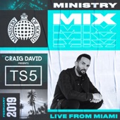 Ministry Mix February 2019 (DJ Mix) artwork
