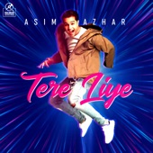 Tere Liye artwork