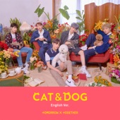 Cat & Dog - Single