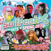 Various Artists - So Fresh: The Hits of Spring 2019 artwork