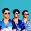 Jonas Brothers