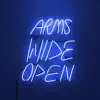 Arms Wide Open (feat. John Michael Howell) - Single album lyrics, reviews, download