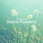 Gentle Moments artwork