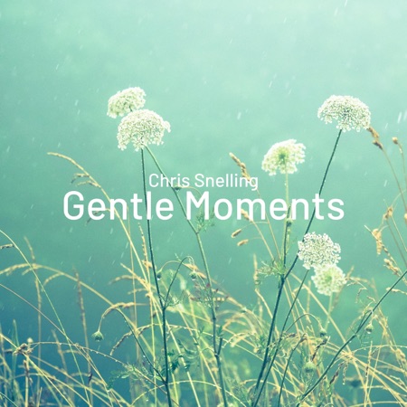 Gentle Moments