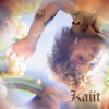 Miss Shiney by Kaiit iTunes Track 1