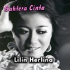 Bahtera Cinta (feat. Agung) - Single