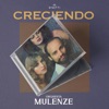Orquesta Mulenze - Te Amo En Silencio