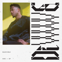 Black Milk - DiVE artwork