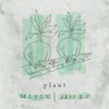 Misiu - Soundflower