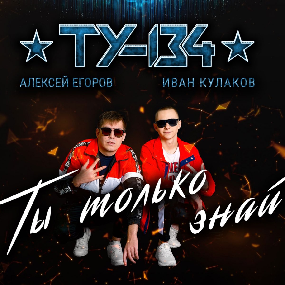 Ту-134 пассажирский самолёт близко. Ту 134 группа фото. Ту 134 посадка. Ту-134 грузовой. Ту 134 роскосмос.
