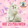 Nie Zo Mauwen by C.V. de Kapotte Kachels iTunes Track 1