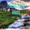 ost eco - I Hear Your Voice