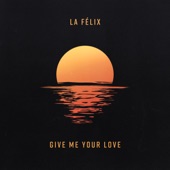 Give Me Your Love artwork