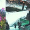 Bluefield Drive - Jaychef lyrics