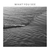 What You See - Jon-Mark Van Rooyen