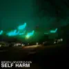 Self Harm - Single album lyrics, reviews, download