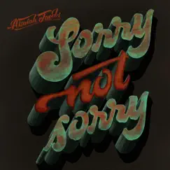 Sorry Not Sorry Song Lyrics