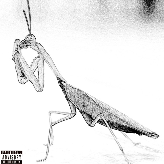 Cover artwork for Praying Mantis Freestyle