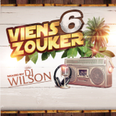 Viens zouker, Vol. 6 - Multi-interprètes