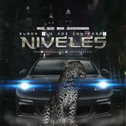Niveles - Single - Elson La Voz Con Peso Niveles - Single - Elson La Voz Con Peso