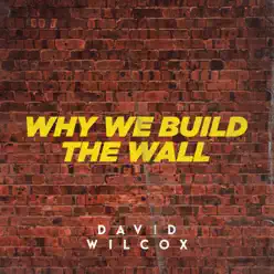Why We Build the Wall - Single - David Wilcox Why We Build the Wall - Single - David Wilcox