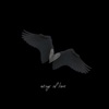 Wings of Love - Single