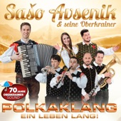 Mit Polka durch die Welt - Medley: Mit Polka durch die Welt / Wigel Wogel Polka / Auf der Autobahn / Beim Stelldichein in Oberkrain artwork
