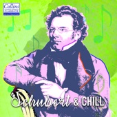 Schubert and Chill artwork