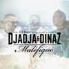 Maléfique (feat. DJ Babs) - Single