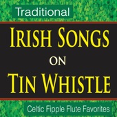 Traditional Celtic Folksong "Irish Washerwoman" (Fipple Flute) artwork