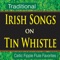 Traditional Celtic Folksong "Irish Washerwoman" (Fipple Flute) artwork