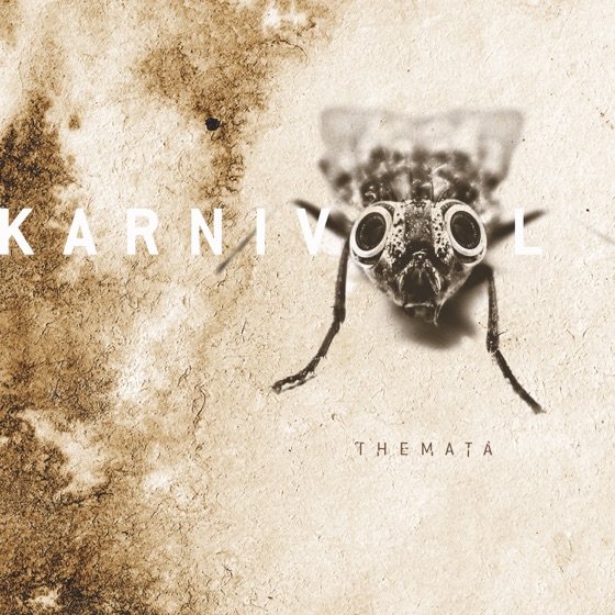 Cover artwork for C.O.T.E.
