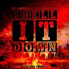 Shell It Down - Single by Olatunji & Preedy album reviews, ratings, credits