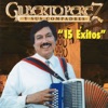 "15 Éxitos"