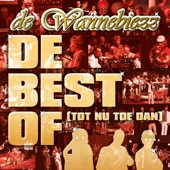 De Best of (Tot Nu Dan) artwork